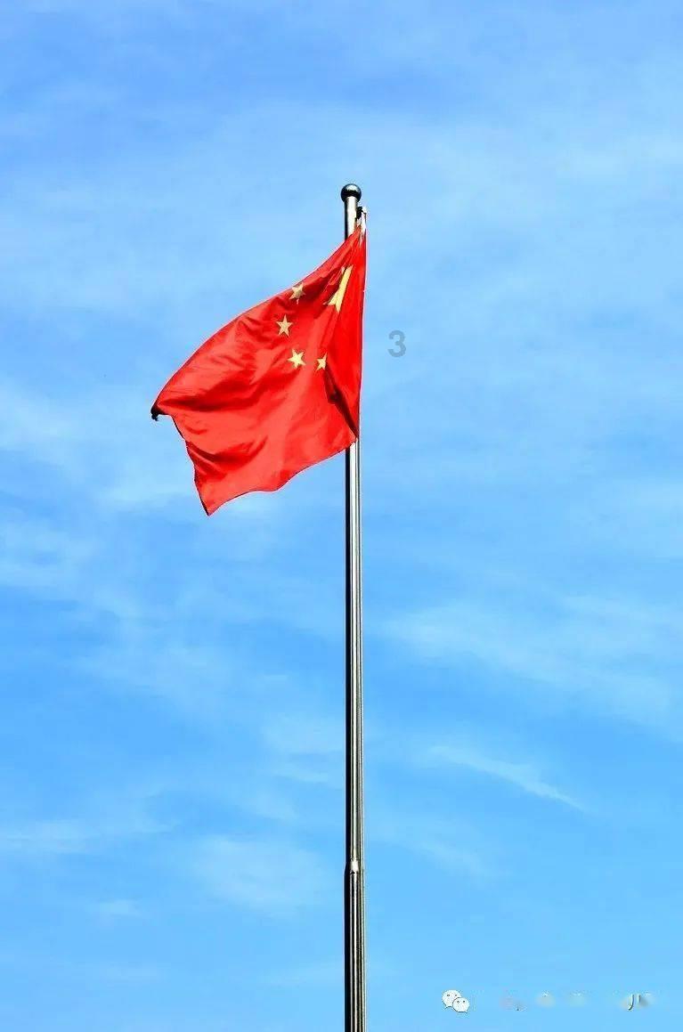 老婆亲手搓出来的五香萝卜干，以前不知道萝卜干还能这么好吃！